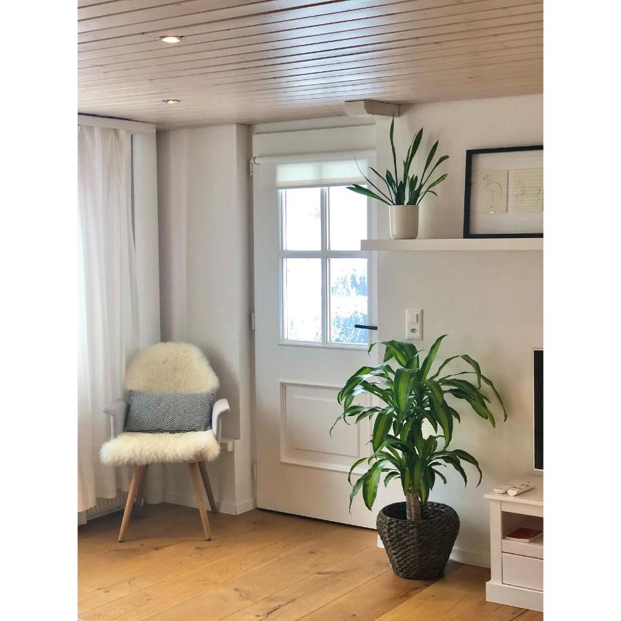 Cozy & Warm Apartment In Oberaegeri Εξωτερικό φωτογραφία