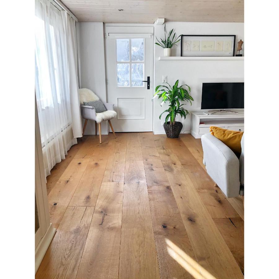 Cozy & Warm Apartment In Oberaegeri Εξωτερικό φωτογραφία